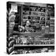 Media Collection-Didier Guibert-Premier Image Canvas