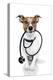 Medical Doctor Dog-Javier Brosch-Premier Image Canvas