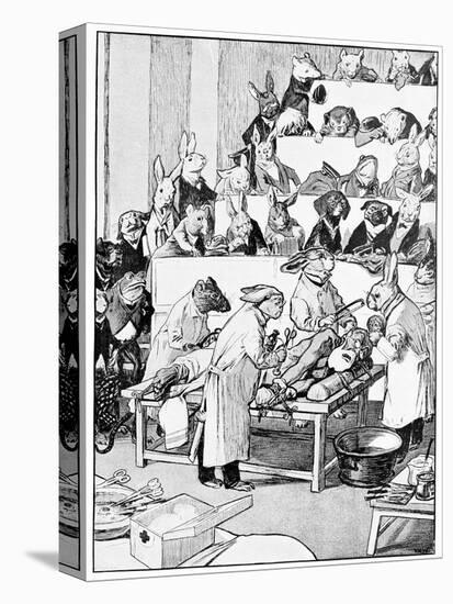 Medical Vivisection, Satirical Artwork-Science Photo Library-Premier Image Canvas
