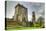 Medieval Blarney Castle in Co. Cork - Ireland-Patryk Kosmider-Premier Image Canvas