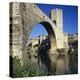 Medieval Bridge, Besalu, Catalunya (Costa Brava), Spain-Stuart Black-Premier Image Canvas