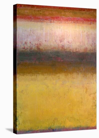 Meditation 7-Jeannie Sellmer-Stretched Canvas