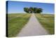 Meditation grove in Skogskyrkogarden, UNESCO World Heritage Site, Stockholm, Sweden, Scandinavia, E-Jon Reaves-Premier Image Canvas