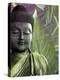 Meditation Vegetation-Fusion Idol Arts-Premier Image Canvas