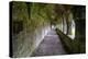 Meditative passageway is part of Moyne Abbey, one of the largest and most intact abbeys in Ireland.-Betty Sederquist-Premier Image Canvas