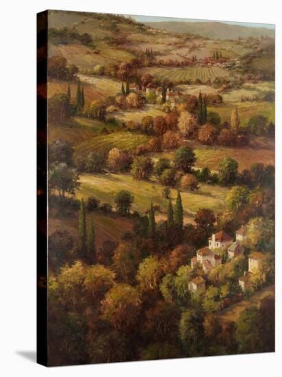 Mediterranean Countryside-Hulsey-Stretched Canvas