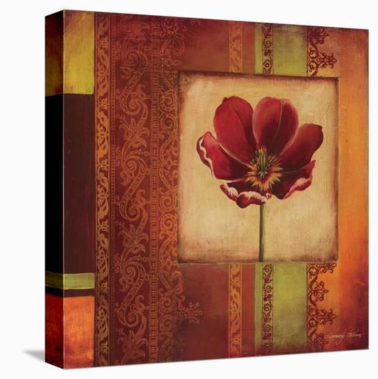 Mediterranean Floral I-Kimberly Poloson-Stretched Canvas