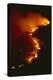 Mediterranean Forest Fire at Night, Spain-Jose B. Ruiz-Premier Image Canvas