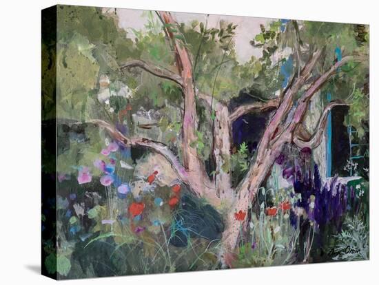 Mediterranean Garden, 2019 (Acrylic)-Ann Oram-Premier Image Canvas