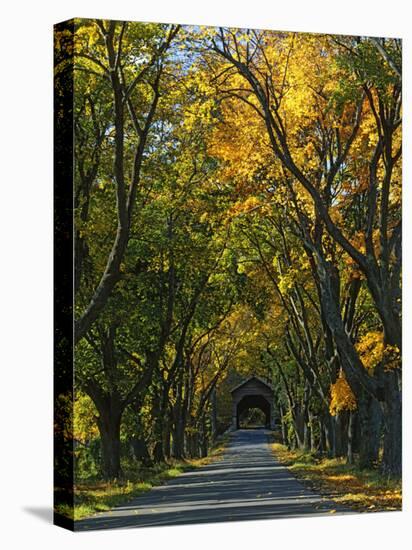 Meems Bottom Covered Bridge, Shenandoah County, Virginia, USA-Charles Gurche-Premier Image Canvas