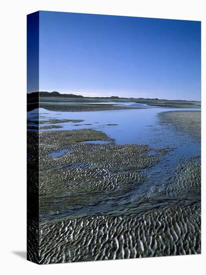 Meer, Ebbe, Watt, Rippelmarken, Gezeiten, Sand, Landschaft-Thonig-Premier Image Canvas