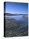 Meer, Ebbe, Watt, Rippelmarken, Gezeiten, Sand, Landschaft-Thonig-Premier Image Canvas