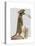 Meerkat Cowboy-Fab Funky-Stretched Canvas