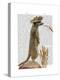 Meerkat Cowboy-Fab Funky-Stretched Canvas