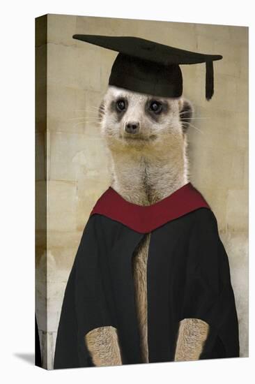 Meerkat in Mortar Board and Gown-null-Premier Image Canvas