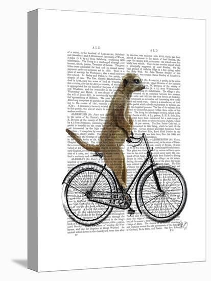 Meerkat on Bicycle-Fab Funky-Stretched Canvas