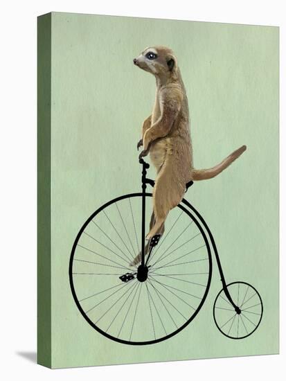Meerkat on Black Penny Farthing-Fab Funky-Stretched Canvas