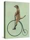 Meerkat on Black Penny Farthing-Fab Funky-Stretched Canvas