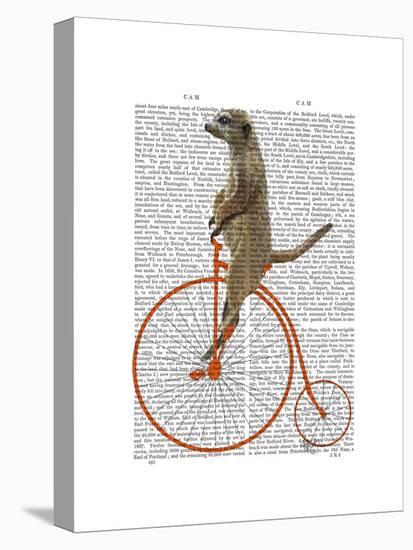 Meerkat on Orange Penny Farthing-Fab Funky-Stretched Canvas