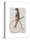 Meerkat on Orange Penny Farthing-Fab Funky-Stretched Canvas