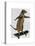 Meerkat on Skateboard-Fab Funky-Stretched Canvas