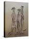 Meerkats, 2014-Odile Kidd-Premier Image Canvas