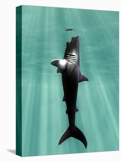 Megalodon Prehistoric Shark with Human-Christian Darkin-Premier Image Canvas