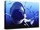 Megalodon Prehistoric Shark-Christian Darkin-Premier Image Canvas