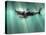 Megalodon Shark And Great White-Christian Darkin-Premier Image Canvas