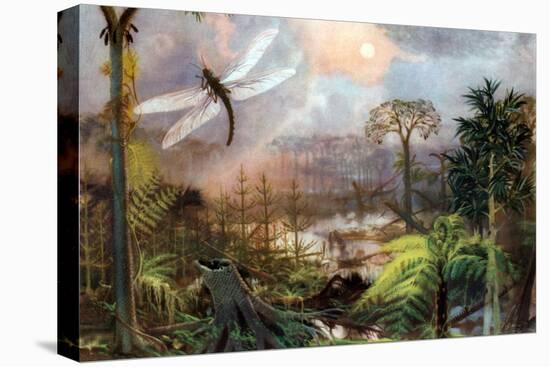 Meganeura in Upper Carboniferous Landscape-Science Source-Premier Image Canvas