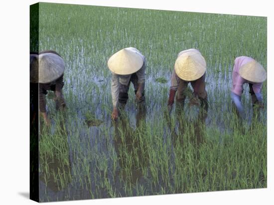 Mekong Delta, Vietnam-Keren Su-Premier Image Canvas