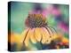 Mellow Yellows I-Sonja Quintero-Premier Image Canvas