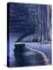 Melting Glacier-Art Wolfe-Premier Image Canvas