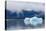 Melting Iceberg in Mendenhall Lake-fmcginn-Premier Image Canvas