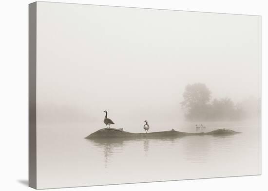 Melton Lake-Nicholas Bell-Stretched Canvas