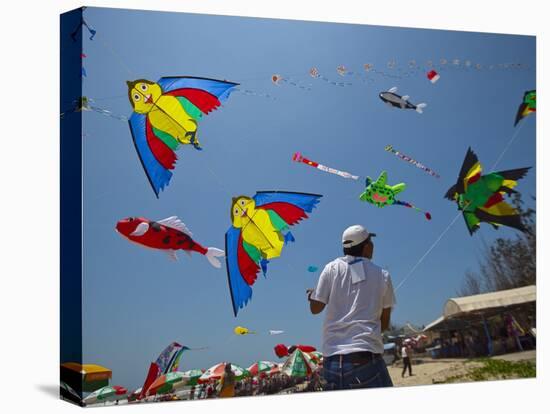 Member of Indonesia Kite Team Flies Kite with Series of Colorful Bird Sales, Vung Tau City, Vietnam-null-Premier Image Canvas