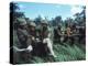 Members of 1st Marine Division Carrying Wounded During Firefight During Vietnam War. South Vietnam-Larry Burrows-Premier Image Canvas