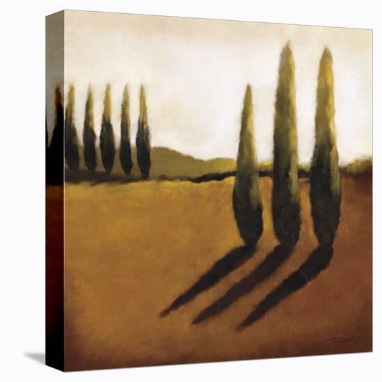 Memories of Tuscany I-Tandi Venter-Stretched Canvas