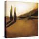 Memories of Tuscany II-Tandi Venter-Stretched Canvas