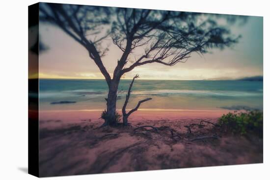 Memory Beach, Kauai-Vincent James-Premier Image Canvas