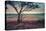 Memory Beach, Kauai-Vincent James-Premier Image Canvas