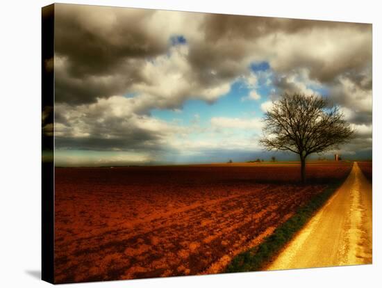 Memory Crash-Philippe Sainte-Laudy-Premier Image Canvas