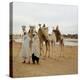 Men and Camels with Saddles, Algerian Desert-null-Stretched Canvas