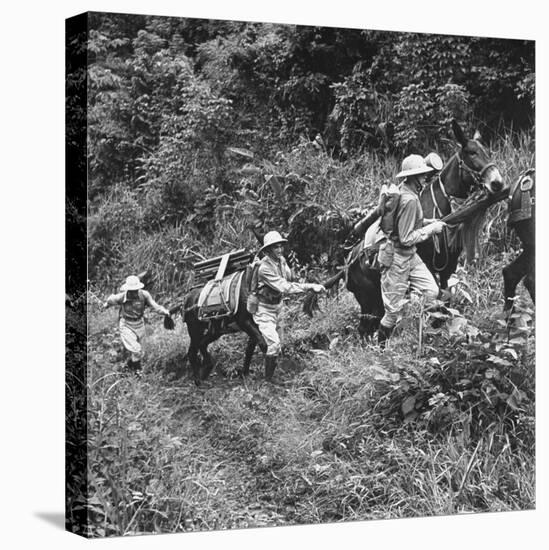 Men and Pack Animals Climbing a Steep Hill-null-Premier Image Canvas