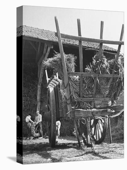 Men Constructing a Wheat Wreath Behind a Wheat Filled Wagon During the Harvest Season-Hans Wild-Premier Image Canvas