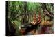 Men from the Yanomami tribe in a canoe, southern Venezuela-Michael Runkel-Premier Image Canvas
