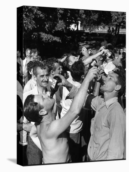 Men Having a Beer Drinking Contest at the Company Picnic-Allan Grant-Premier Image Canvas