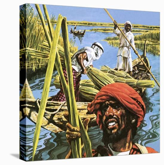 Men of the Marshes of Southern Iraq-Payne-Premier Image Canvas