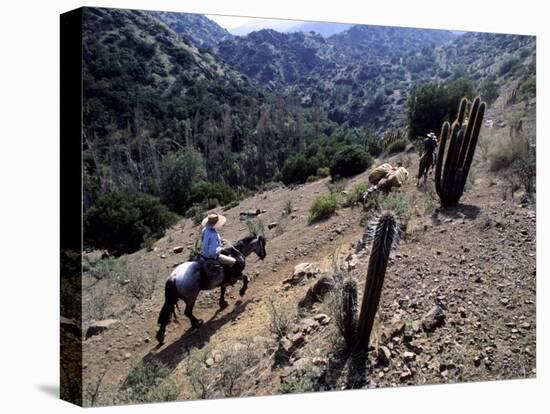 Men on Horseback Carry Supplies to Cattle Ranch on the Outskirts of Santiago, Chile, South America-Aaron McCoy-Premier Image Canvas