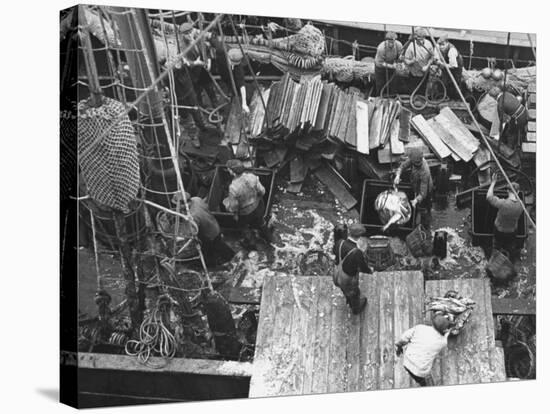 Men Unloading the Grimsby Trawler at Number Four Fish Dock-William Vandivert-Premier Image Canvas